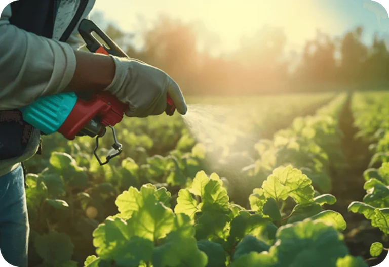 insecticides-top-pic