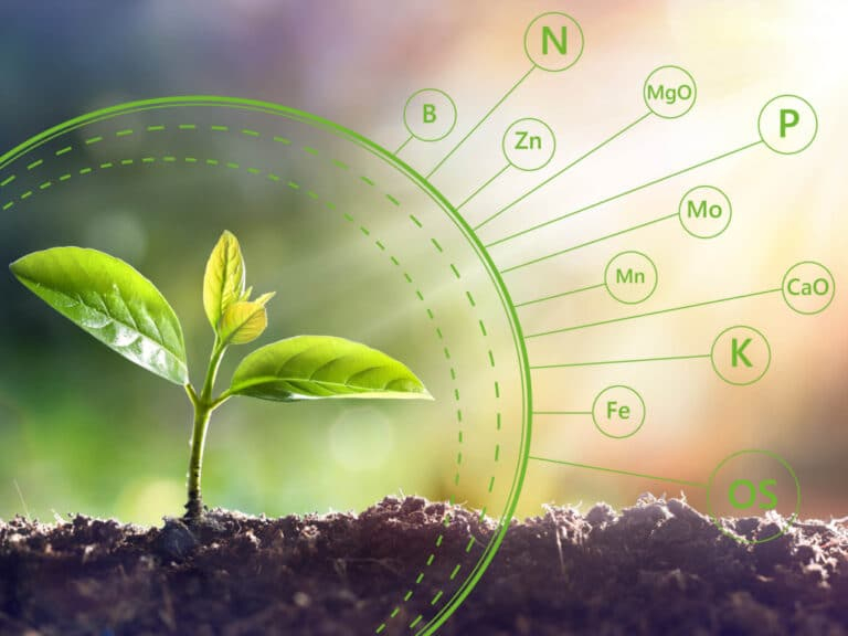 macro-and-micro-nutrients-1030x772