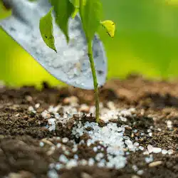 shutterstock-1454013152-fertilizer-dealers-7-mr8fv-250